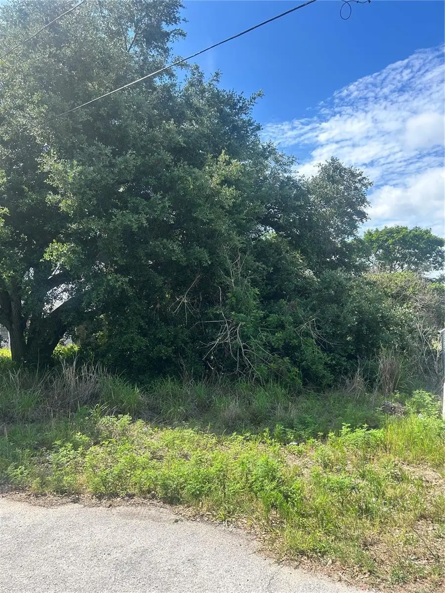 387 Avenue B, Lake Wales, FL 33859 - #2