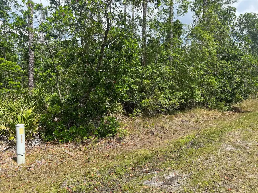 1755 Cassidy Drive, Saint Cloud, FL 34771 - #2
