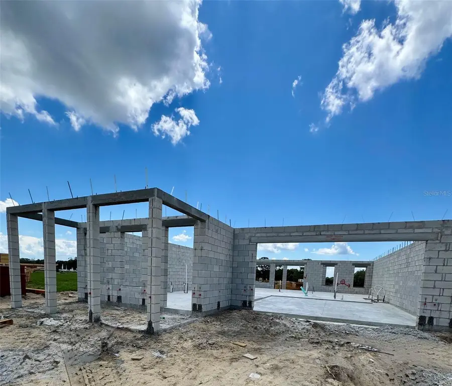 30237 Rustic Mill Street, Mount Dora, FL 32757 - #2