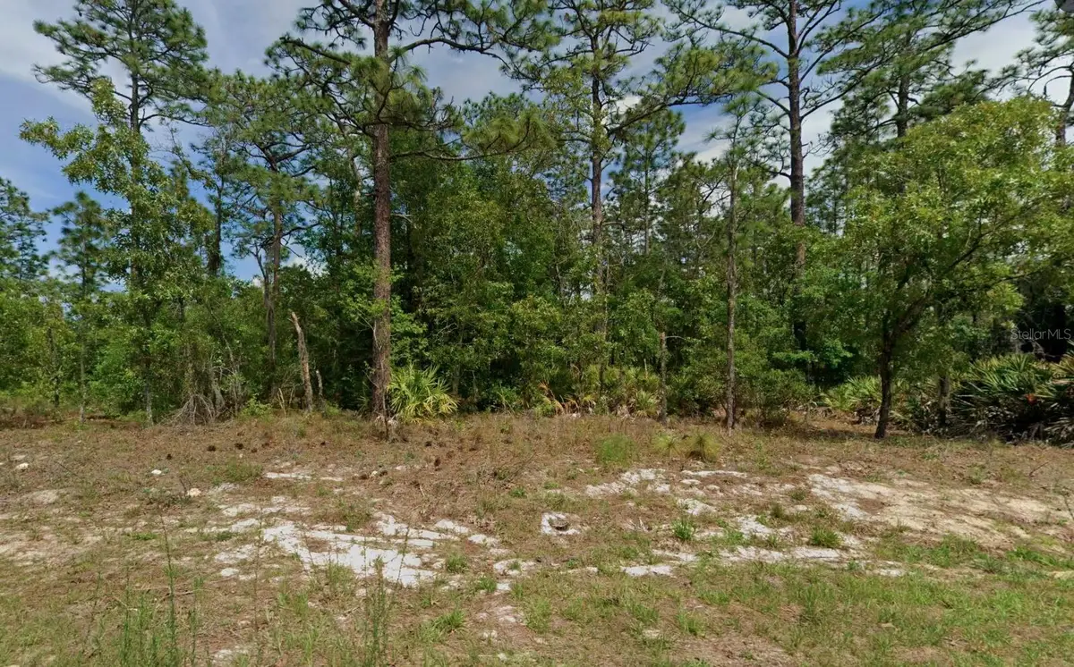 6977 N Foxdale Drive, Citrus Springs, FL 34434 - #1