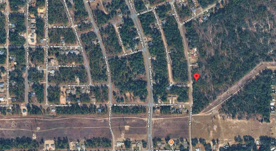 6977 N Foxdale Drive, Citrus Springs, FL 34434 - #2