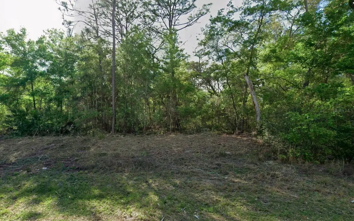 10830 N Hatari Drive, Citrus Springs, FL 34434 - #1
