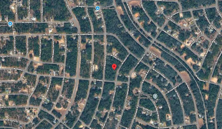 10830 N Hatari Drive, Citrus Springs, FL 34434 - #2
