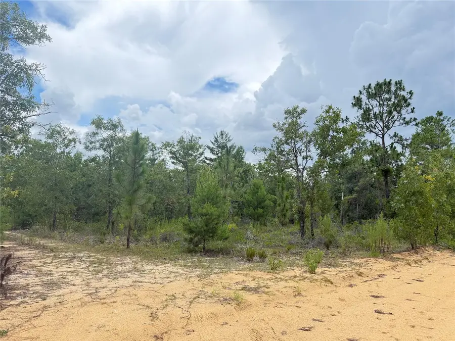 100 Linda Lane, Interlachen, FL 32148 - #3