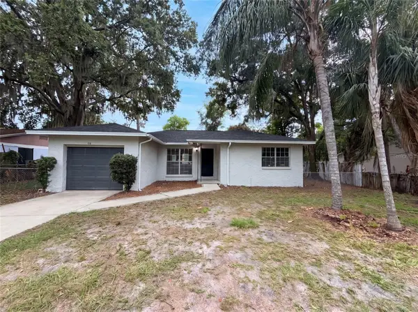 4209 E Alene Drive, TAMPA, FL 33617