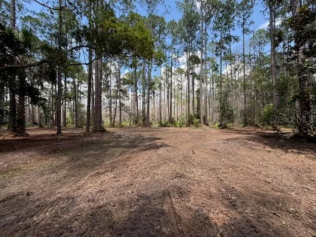 9th Avenue, Deland, FL 32724 - #3