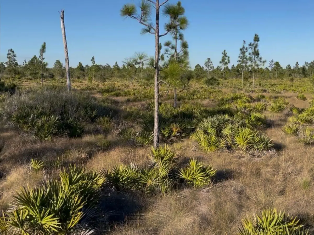 Holopaw Groves Road, Saint Cloud, FL 34771 - #1