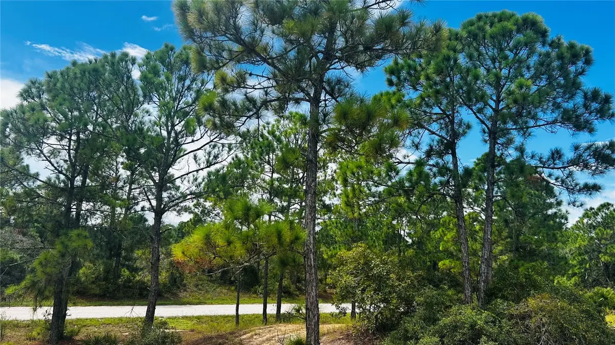 486 Dreamland Drive, Lake Placid, FL 33852 - #1