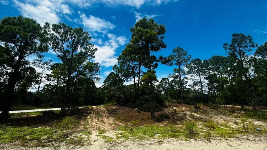 486 Dreamland Drive, Lake Placid, FL 33852 - #3
