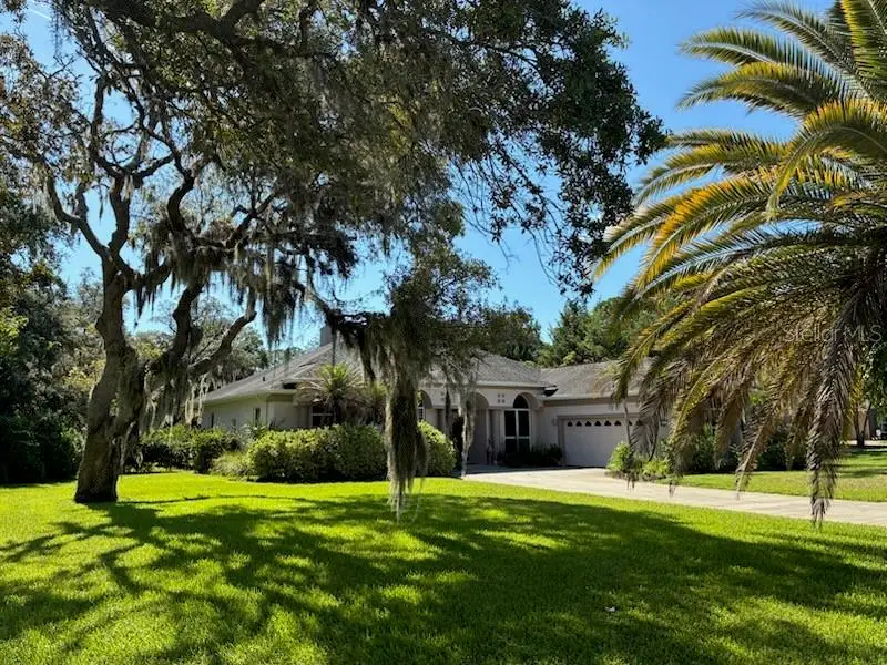 1521 Shadow Pines Drive, New Smyrna Beach, FL 32168 - #2