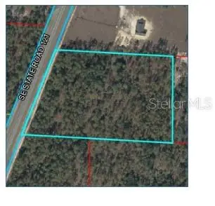 2918'23.5"n 8231'35.0"w, Morriston, FL 32668 - #1