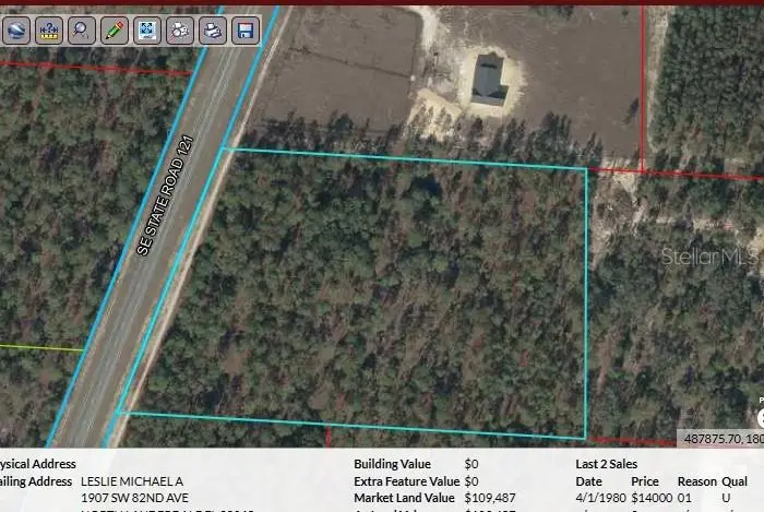 2918'23.5"n 8231'35.0"w, Morriston, FL 32668 - #2