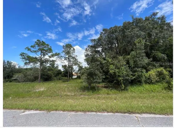 1336 Hillsborough Court, POINCIANA, FL 34759