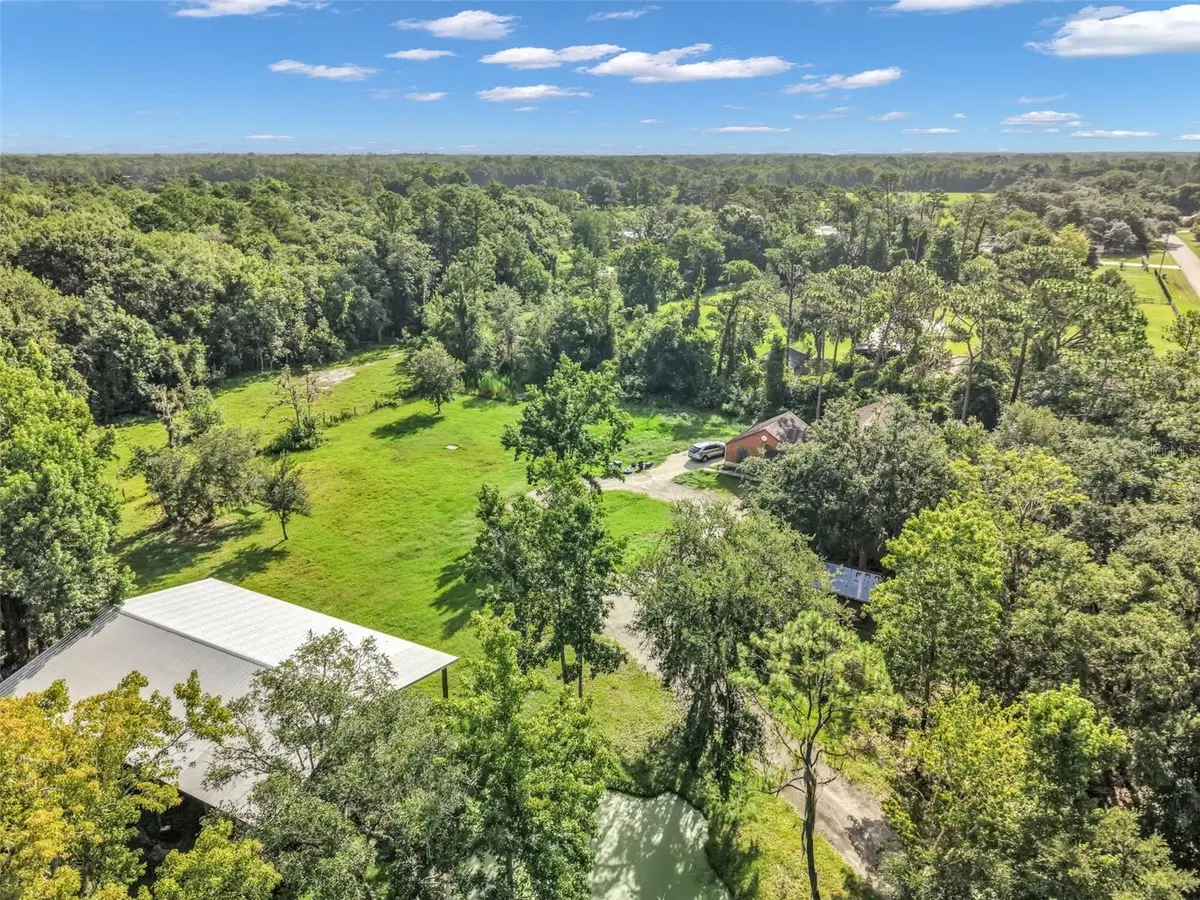 24003 Sisler Avenue, Christmas, FL 32709 - #1