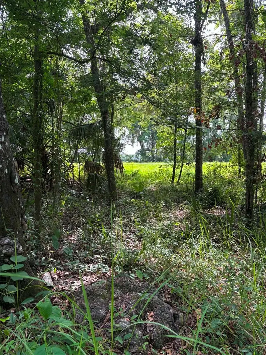 12168 Ponce De Leon Boulevard, Brooksville, FL 34601 - #1