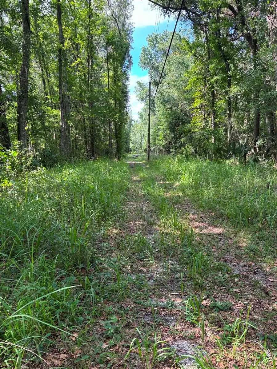 12168 Ponce De Leon Boulevard, Brooksville, FL 34601 - #2