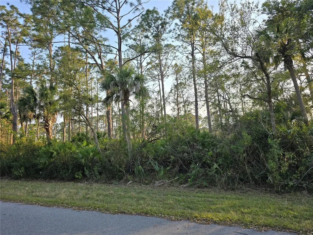 12469 Harlow Avenue, Port Charlotte, FL 33953 - #1