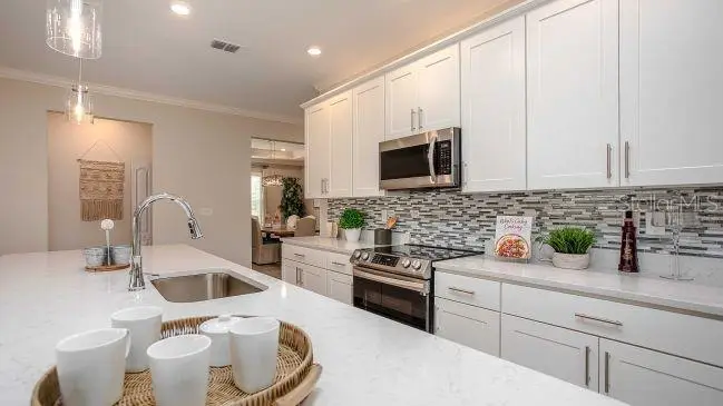 TBD Lisa Drive, Tavares, FL 32778 - #3