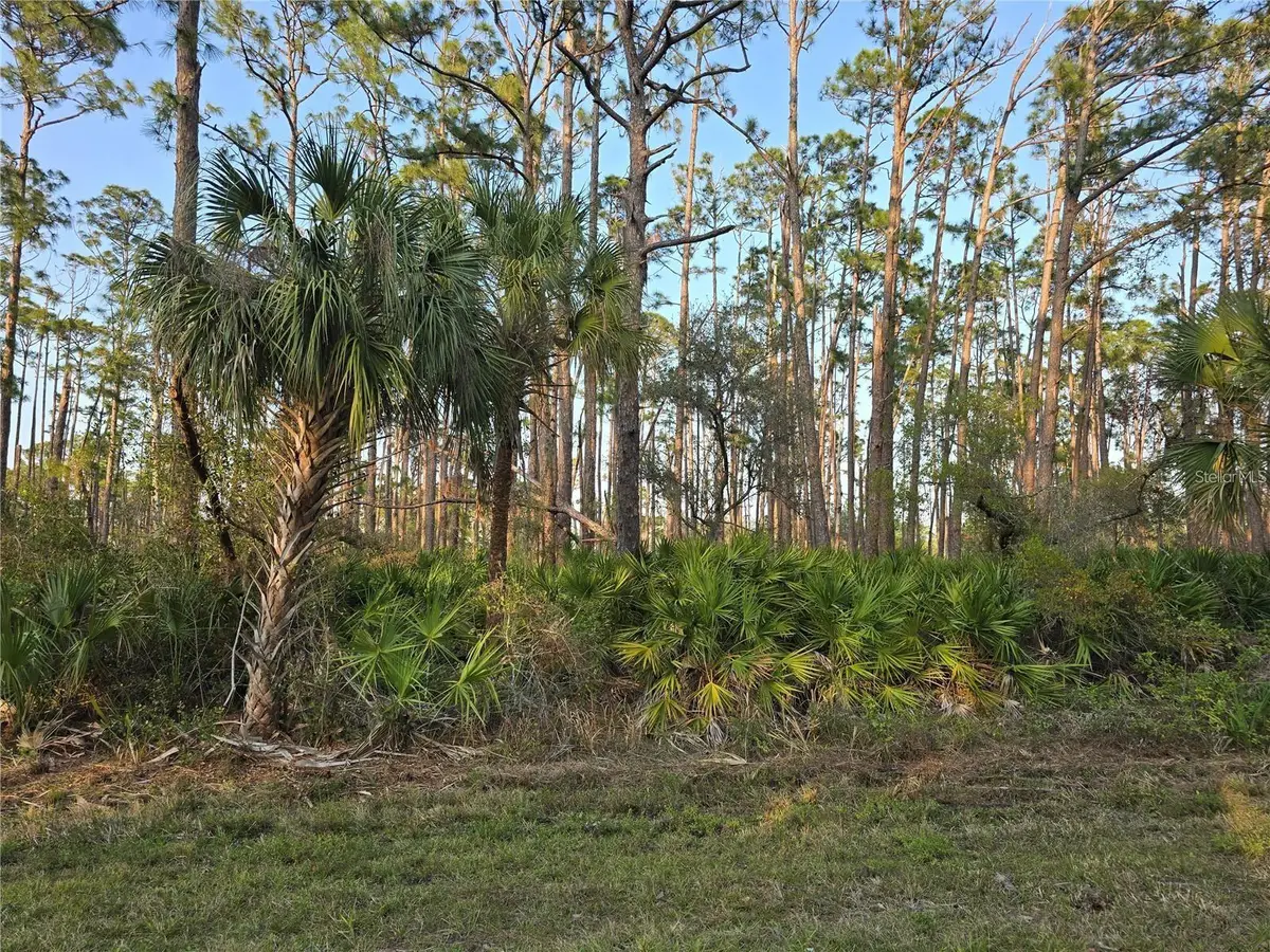 12522 Ranch Avenue, Port Charlotte, FL 33953 - #1