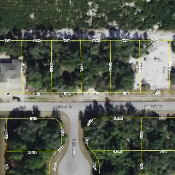 1217 Baltic Drive, POINCIANA, FL 34759