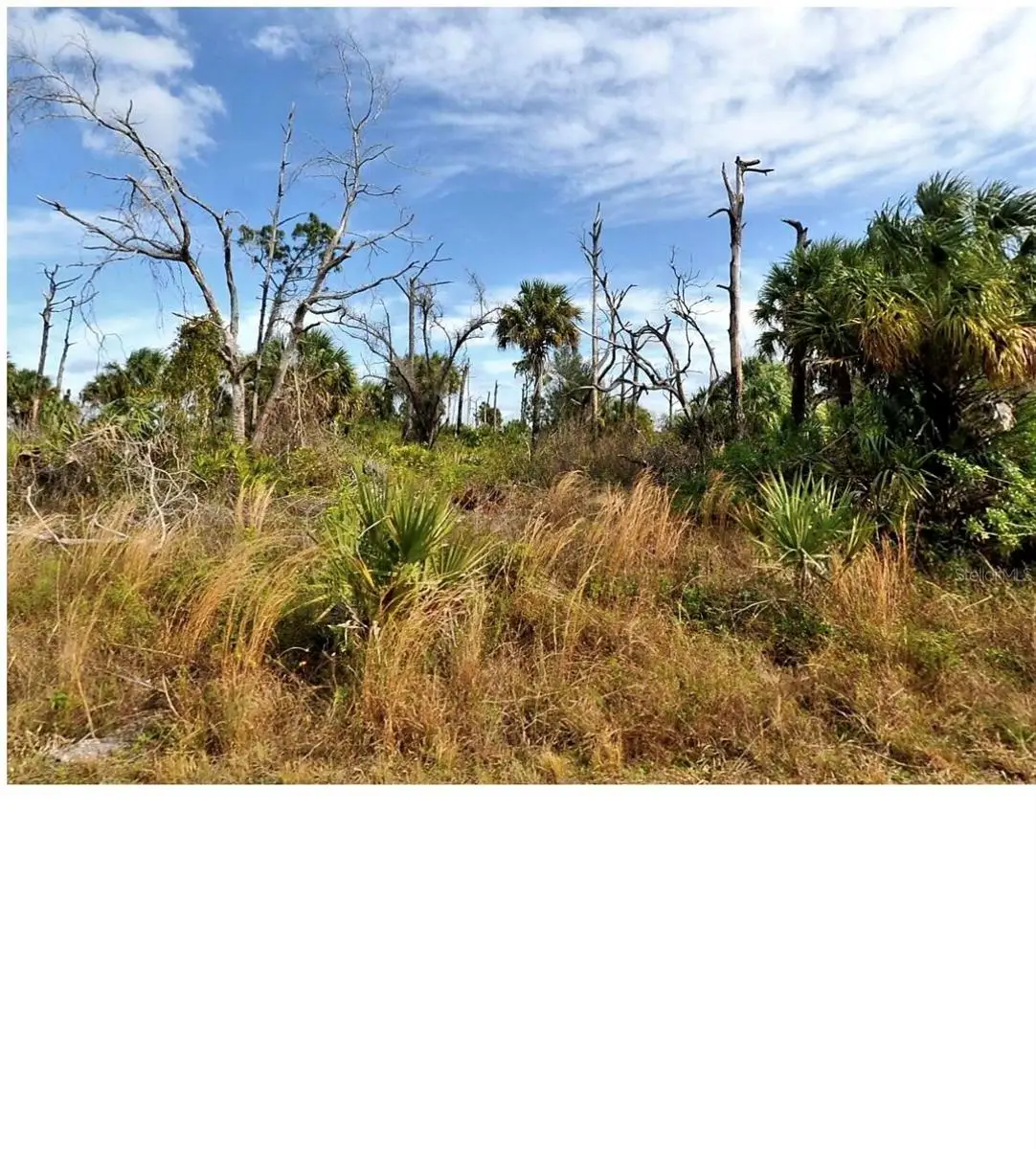 0 Menzler Street, North Port, FL 34288 - #1