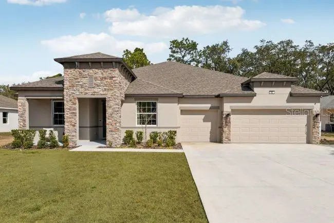 3919 Vino Tinto Place, Plant City, FL 33565 - #1