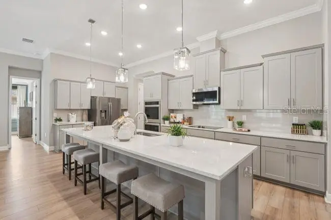 3919 Vino Tinto Place, Plant City, FL 33565 - #3