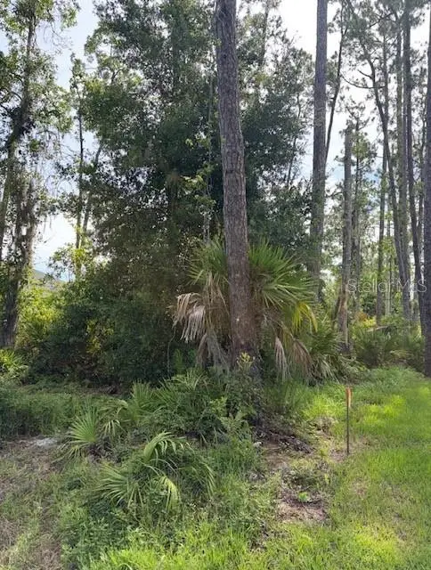 5th Avenue, Deland, FL 32724 - #2