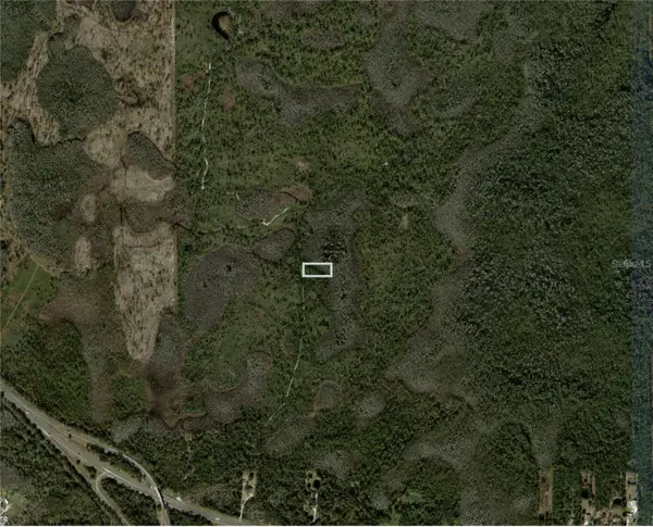 Dill Road, ORLANDO, FL 32820