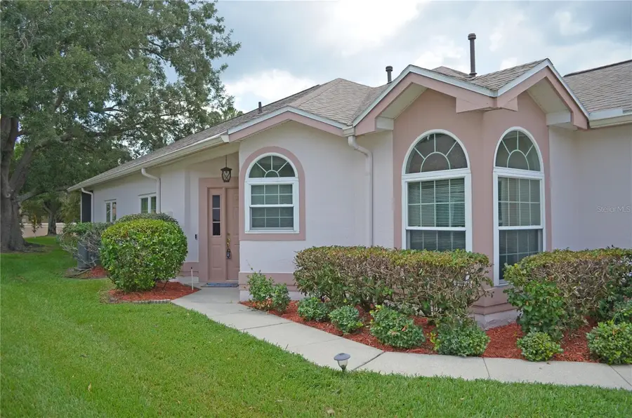 11333 Pink Blossom Court, Orlando, FL 32821 - #3