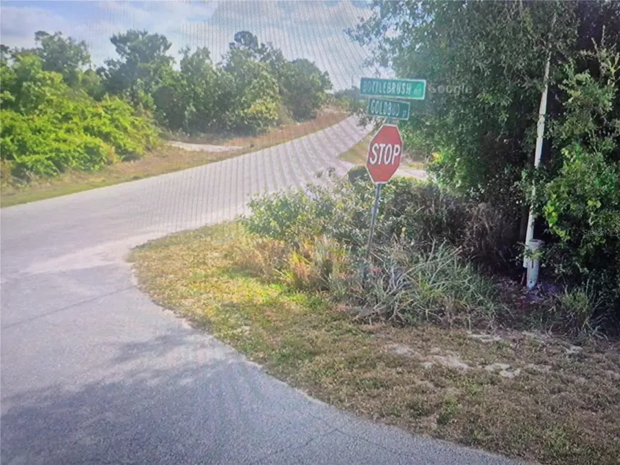 308 Bottlebrush Avenue, Lake Placid, FL 33852 - #3