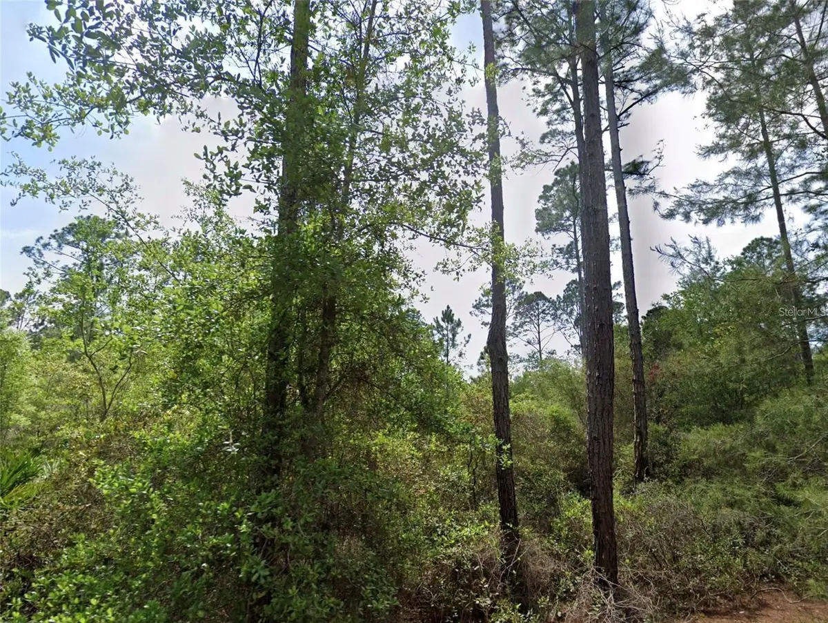 126 and 128 Grandale Street, Georgetown, FL 32139 - #1