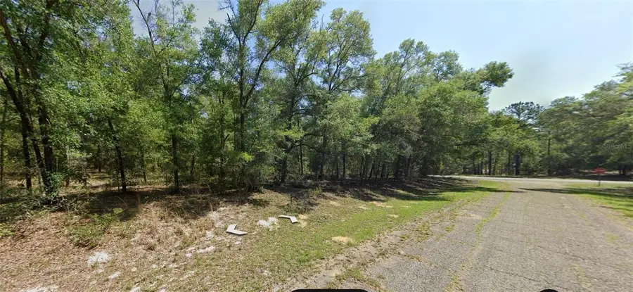8388 N Joiner Way, Citrus Springs, FL 34434 - #3