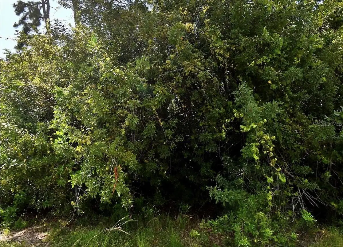 Map Avenue, North Port, FL 34286 - #1
