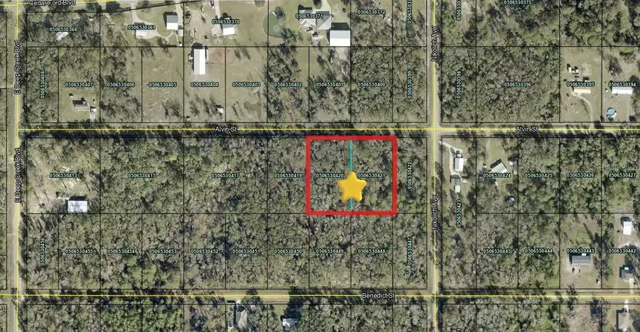4725 & 4715 Alvin Street, Hastings, FL 32145 - #2