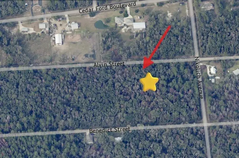 4725 & 4715 Alvin Street, Hastings, FL 32145 - #3