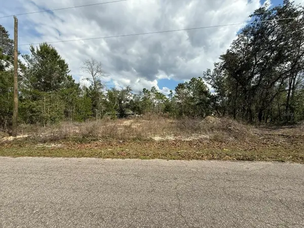 19 Fisher Lane Track, OCKLAWAHA, FL 32179