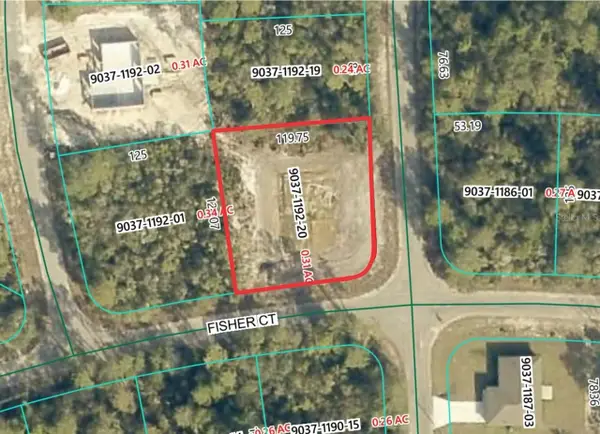 189 Fisher Court, OCKLAWAHA, FL 32179