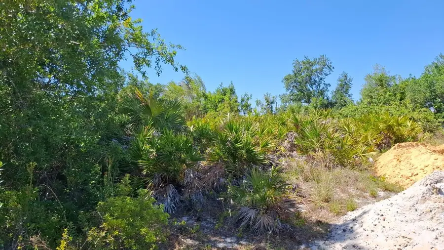 5116 White Avenue, Port Charlotte, FL 33981 - #2