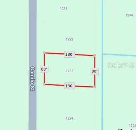 1231 Camilo Street, Lake Placid, FL 33852 - #2