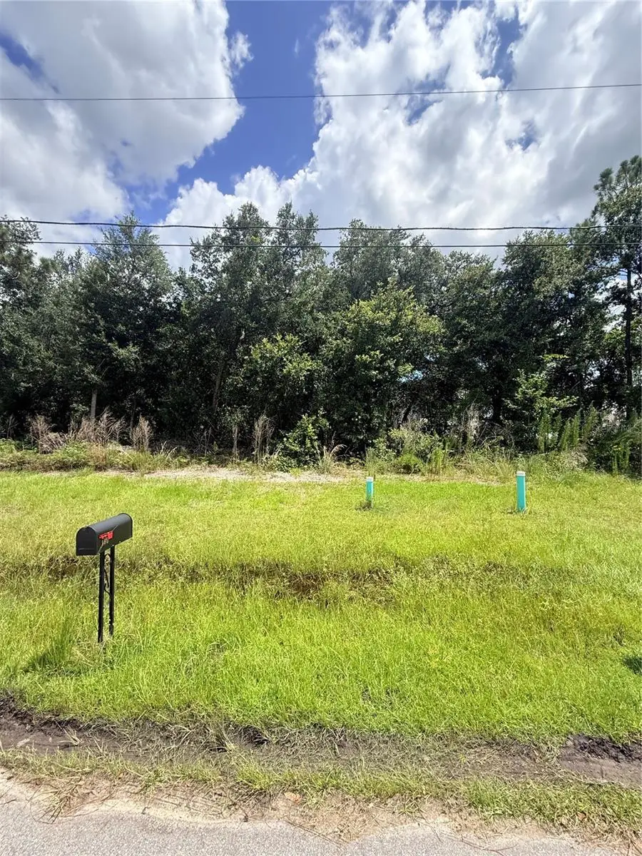 161 Sparrow Court, Poinciana, FL 34759 - #2