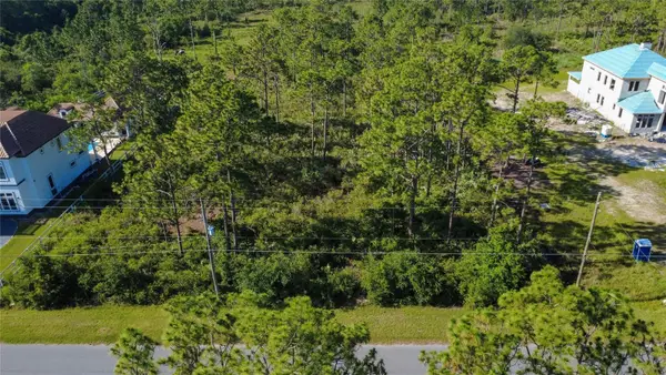 Lot 700 & 703 Sabal Street, ORLANDO, FL 32833