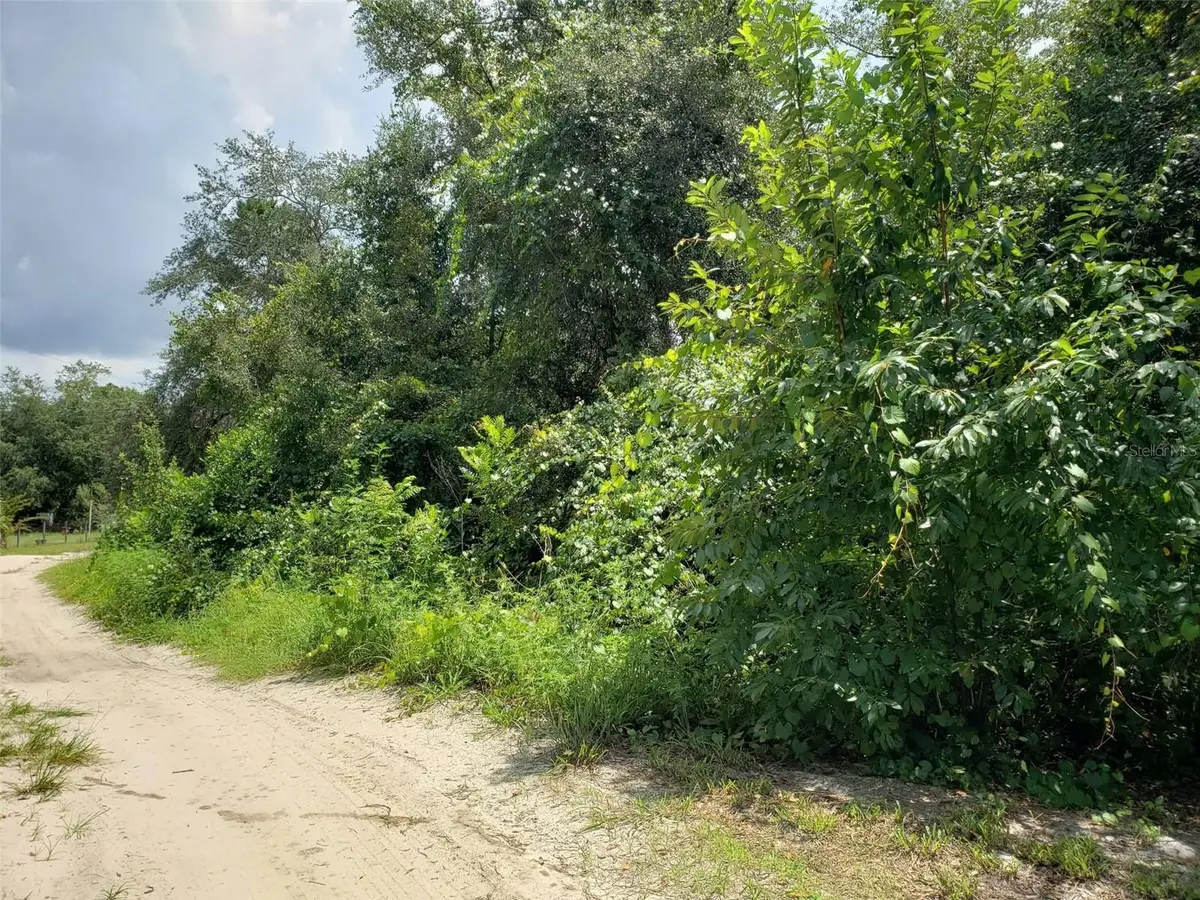 Pine Valley Drive, Paisley, FL 32767 - #1