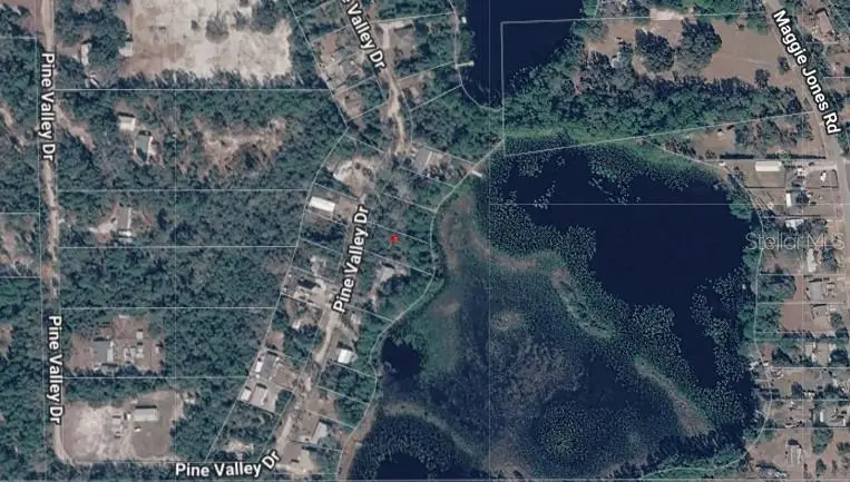 Pine Valley Drive, Paisley, FL 32767 - #3