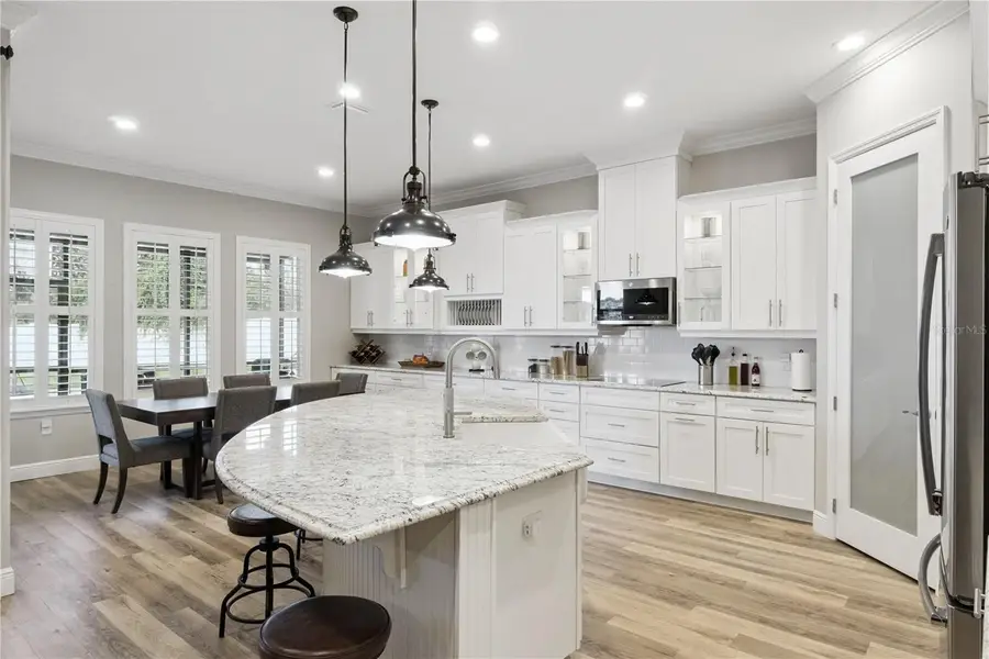 2336 Zaltana Circle, Minneola, FL 34715 - #3