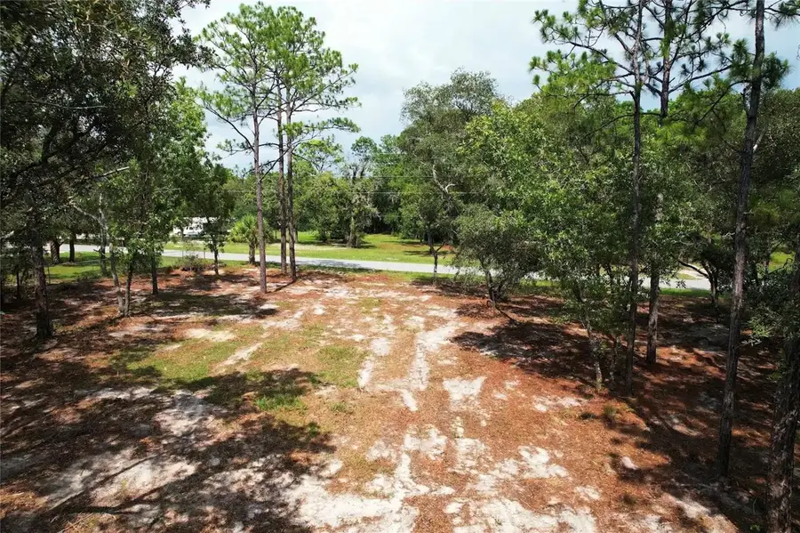 4546 S Evergreen Avenue, Homosassa, FL 34446 - #2