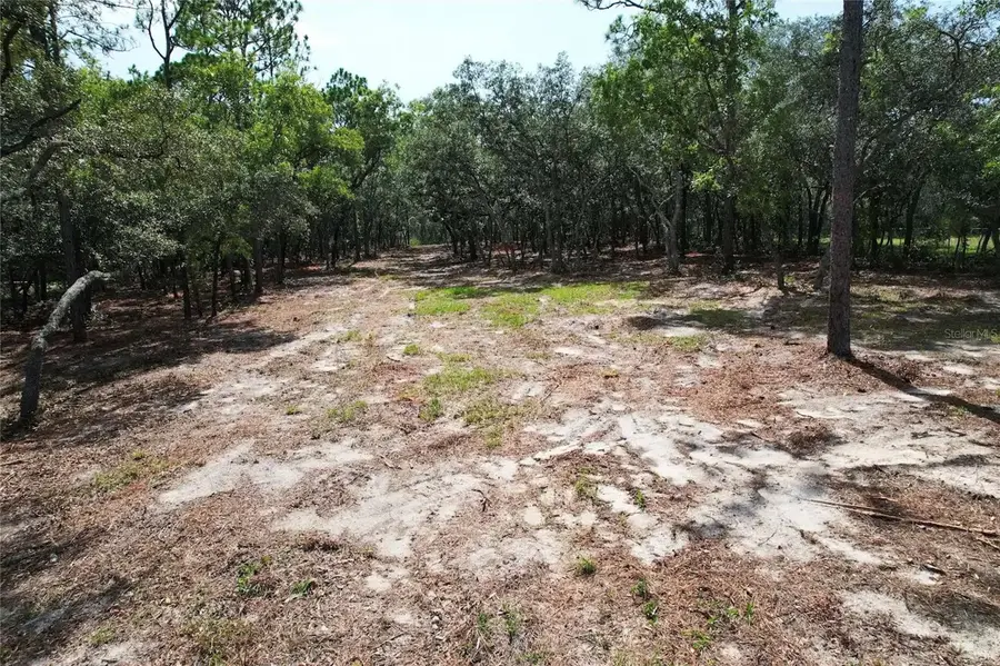 4546 S Evergreen Avenue, Homosassa, FL 34446 - #3
