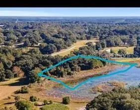 160th, Weirsdale, FL 32195 - #2