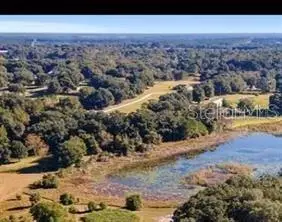 160th, Weirsdale, FL 32195 - #3