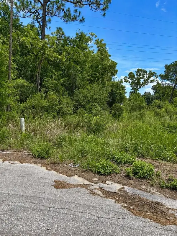 Water Track Lot 08, OCALA, FL 34477